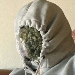 Meet your Posher, Dan